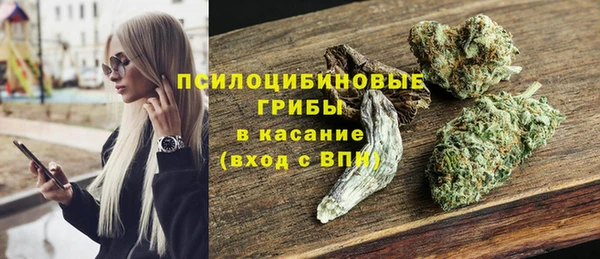 прущая мука Новозыбков
