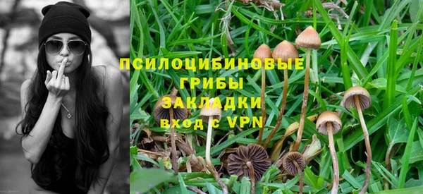 прущая мука Новозыбков