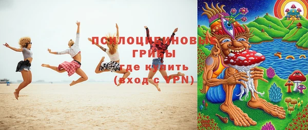 мяу мяу мука Новодвинск