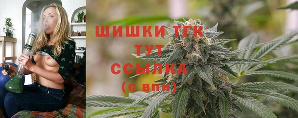 гидра Анива