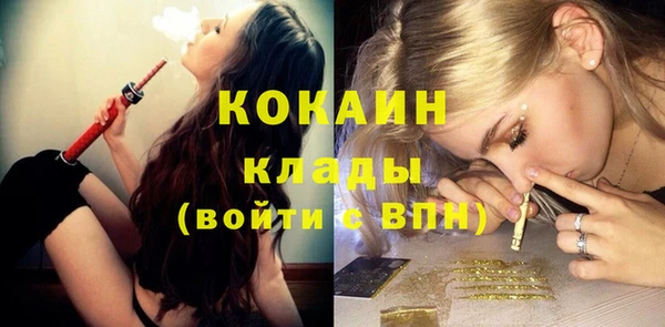 мяу мяу мука Новодвинск