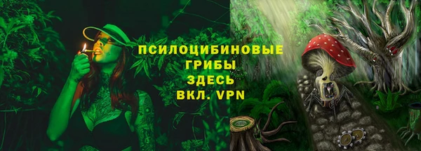 мяу мяу мука Новодвинск
