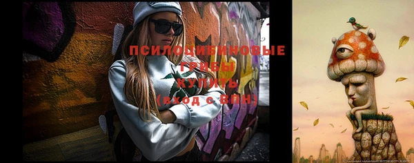 спиды Новокубанск