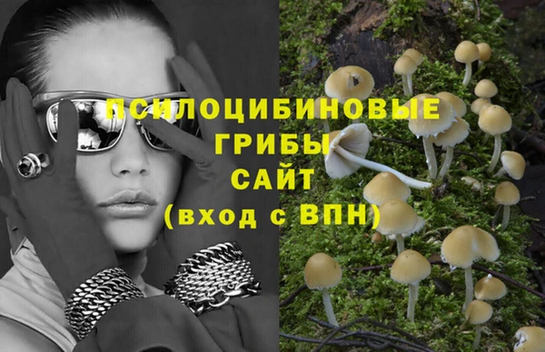 прущая мука Новозыбков