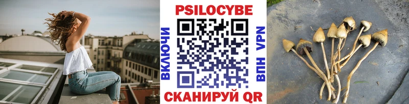 Галлюциногенные грибы Cubensis  Белгород 