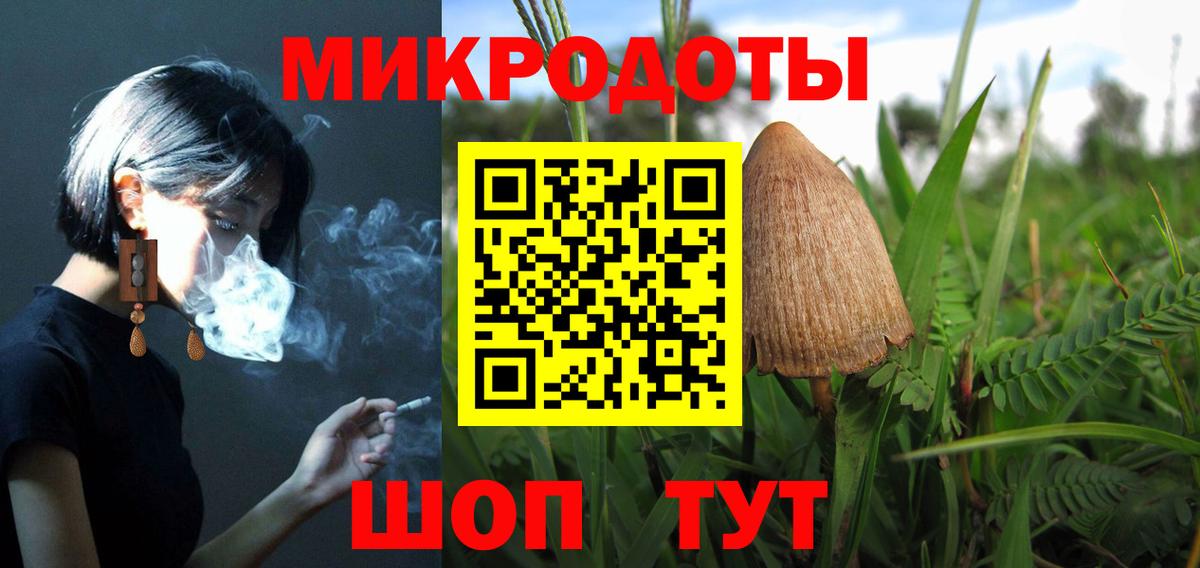 Псилоцибиновые грибы Magic Shrooms  Вход с VPN  Белгород  Галлюциногенные грибы Magic Shrooms 